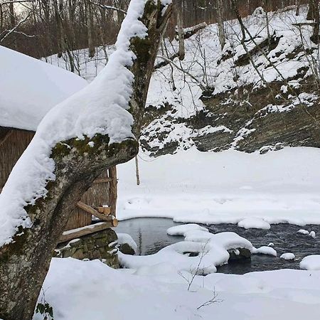 Vila Хатина Біля Потока Lumshory Exteriér fotografie