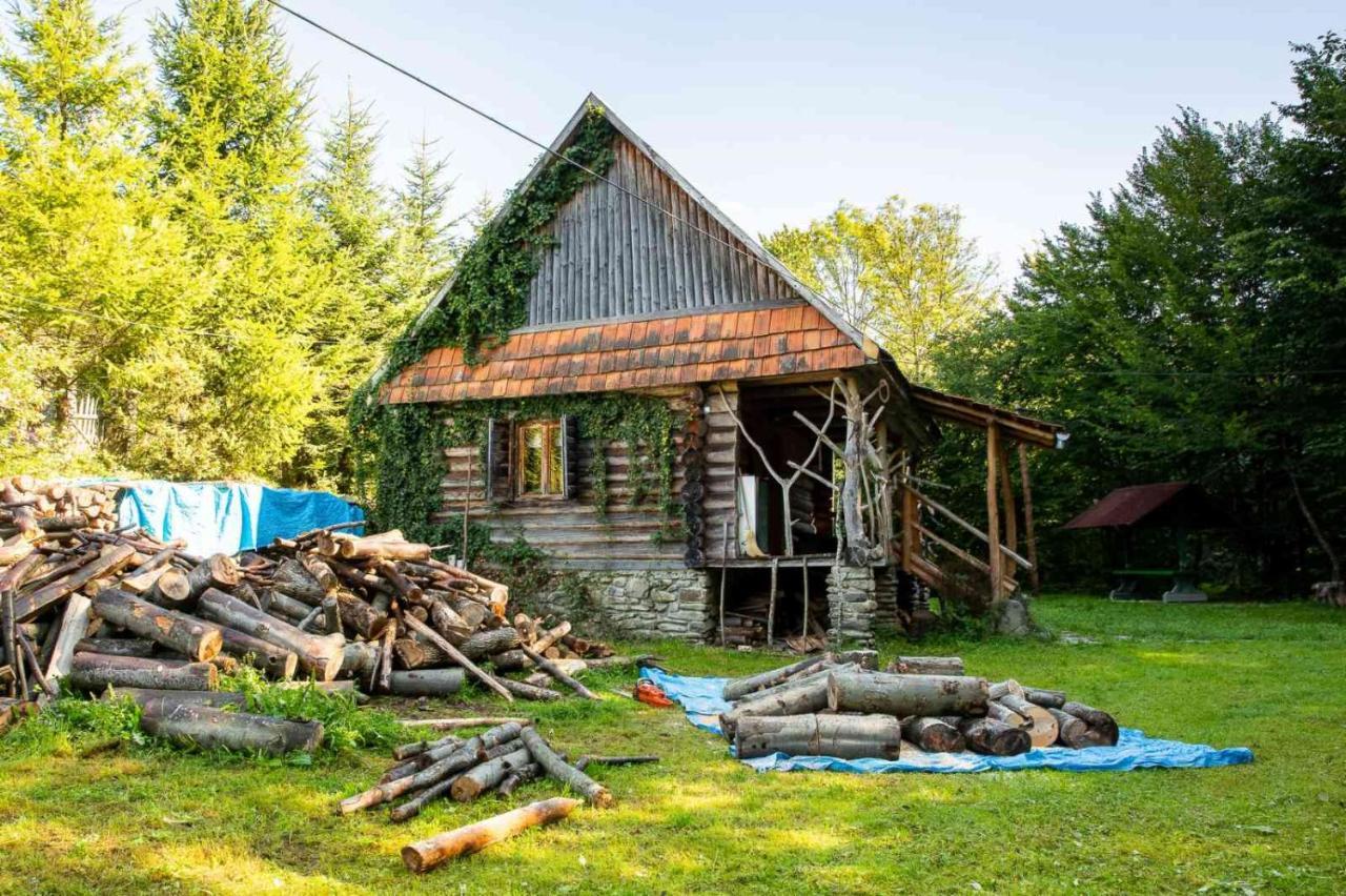 Vila Хатина Біля Потока Lumshory Exteriér fotografie