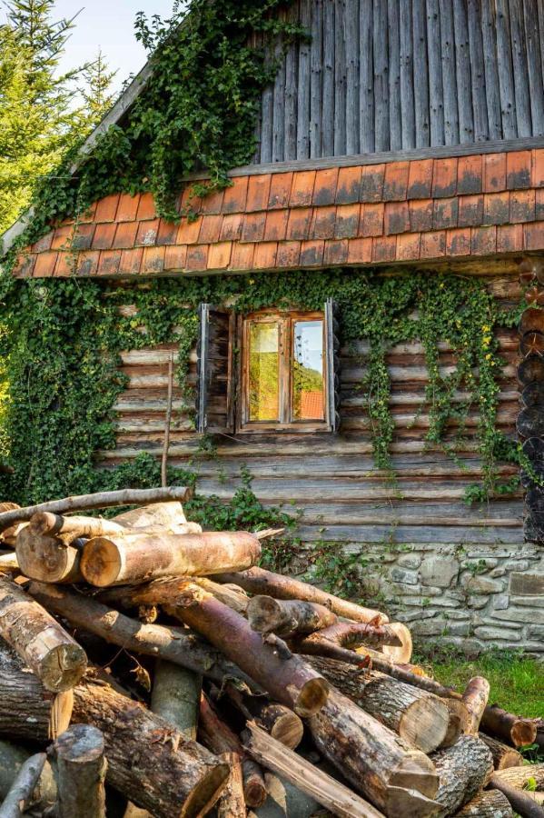 Vila Хатина Біля Потока Lumshory Exteriér fotografie