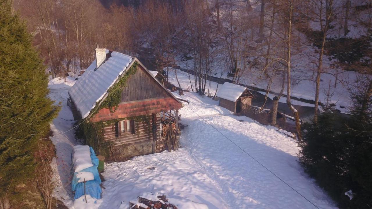 Vila Хатина Біля Потока Lumshory Exteriér fotografie