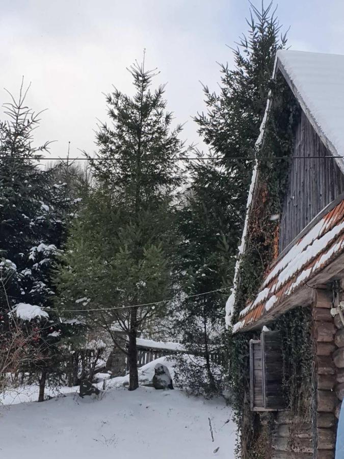Vila Хатина Біля Потока Lumshory Exteriér fotografie