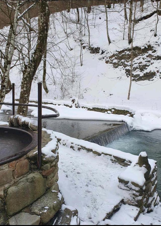 Vila Хатина Біля Потока Lumshory Exteriér fotografie