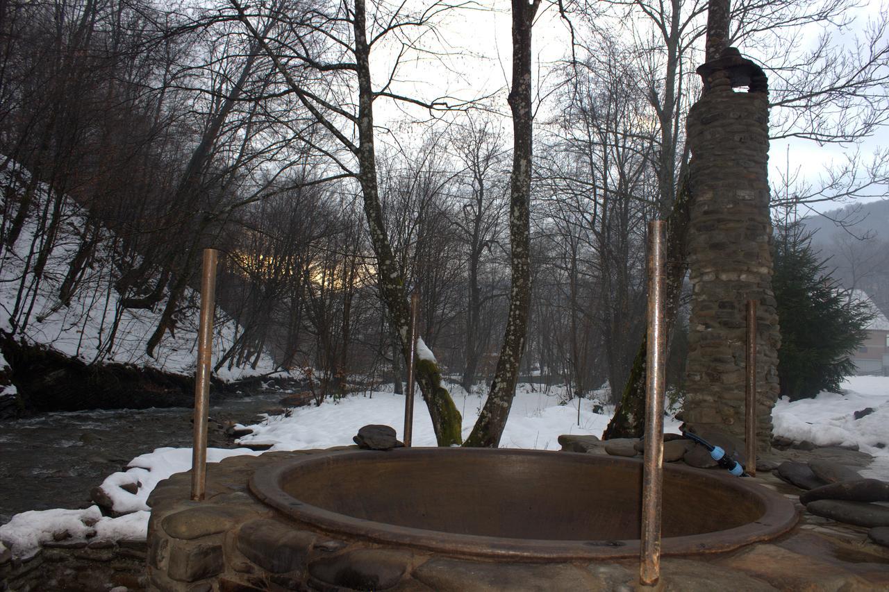 Vila Хатина Біля Потока Lumshory Exteriér fotografie